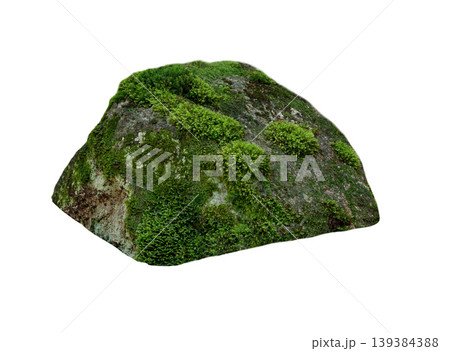 stone covered with moss isolated on white background stone covered with moss isolated on white background 139384388