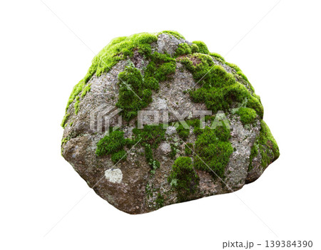 stone overgrown with moss isolated on white background 139384390