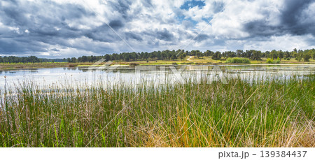 Lagunas de Cantalejo Special Protection Area, Spain 139384437