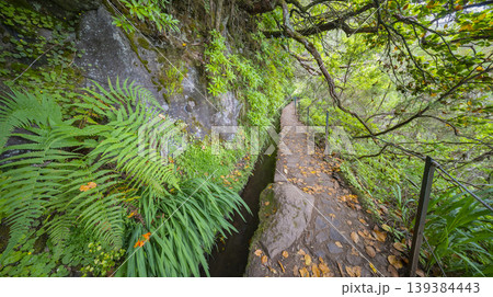Levada do Caldeirao Verde, Madeira, Portugal 139384443