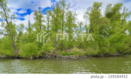 Biesbosch National Park, Netherlands Biesbosch National Park, Netherlands 139384452