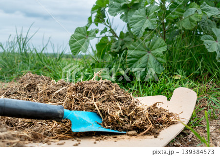 Cardboard in the garden and in permaculture, it provides nutrients and carbon, allows mulching, keeps the soil cool and serves as a method of weeding, brown corrugated cardboard, without ink or glue Cardboard in the garden and in permaculture, it provides nutrients and carbon, allows mulching, keeps the soil cool and serves as a method of weeding, brown corrugated cardboard, without ink or glue 139384573