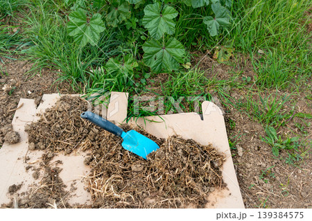 Cardboard in the garden and in permaculture, it provides nutrients and carbon, allows mulching, keeps the soil cool and serves as a method of weeding, brown corrugated cardboard, without ink or glue 139384575