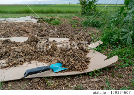 Cardboard in the garden and in permaculture, it provides nutrients and carbon, allows mulching, keeps the soil cool and serves as a method of weeding, brown corrugated cardboard, without ink or glue 139384607