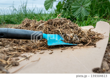 Cardboard in the garden and in permaculture, it provides nutrients and carbon, allows mulching, keeps the soil cool and serves as a method of weeding, brown corrugated cardboard, without ink or glue Cardboard in the garden and in permaculture, it provides nutrients and carbon, allows mulching, keeps the soil cool and serves as a method of weeding, brown corrugated cardboard, without ink or glue 139384613