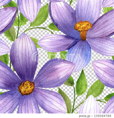 Large purple crocus flowers with green leaves, seamless watercolor pattern. Fresh blue mountain flowers, hand drawn. Vibrant plants for packaging, cosmetic fabric, and cards. Large purple crocus flowers with green leaves, seamless watercolor pattern. Fresh blue mountain flowers, hand drawn. Vibrant plants for packaging, cosmetic fabric, and cards. 139384789