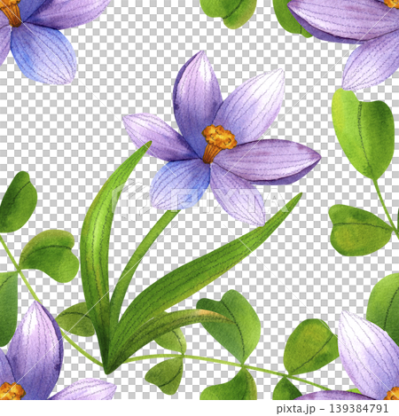 Purple crocus flowers intertwined with green leaves, seamless watercolor pattern. Fresh blue mountain flowers, hand drawn. Vibrant flowering plants for packaging, cosmetic fabric, and cards. 139384791