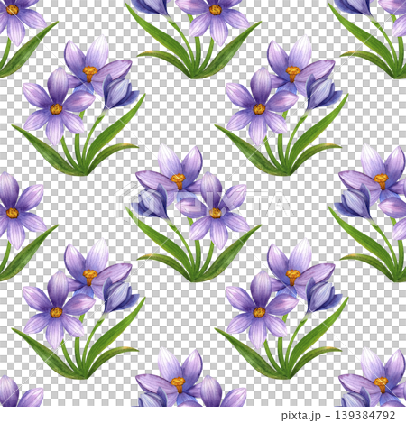 Purple crocuses with green leaves, seamless watercolor floral pattern. Fresh bouquet of blue mountain flowers, hand drawn. Vibrant plants for packaging, cosmetic fabric, and cards. Purple crocuses with green leaves, seamless watercolor floral pattern. Fresh bouquet of blue mountain flowers, hand drawn. Vibrant plants for packaging, cosmetic fabric, and cards. 139384792