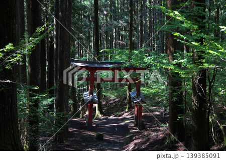 参道途中の赤い鳥居　4 139385091