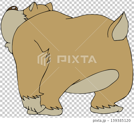 有趣的動物插畫☆熊 139385120