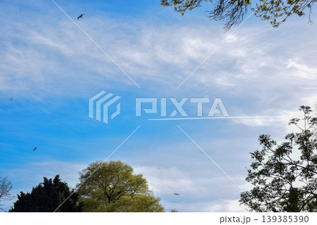 A clear blue sky features white clouds and a visible jet contrail above lush green trees in a park. The scene captures the tranquility of nature and the presence of wildlife in the area A clear blue sky features white clouds and a visible jet contrail above lush green trees in a park. The scene captures the tranquility of nature and the presence of wildlife in the area 139385390