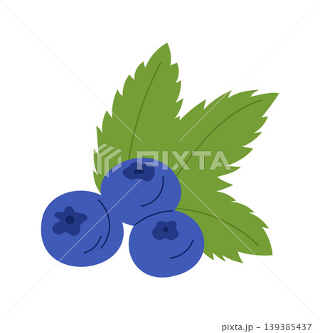 Blueberries with green leaves arranged on a white background, showcasing their vibrant color and natural form Blueberries with green leaves arranged on a white background, showcasing their vibrant color and natural form 139385437