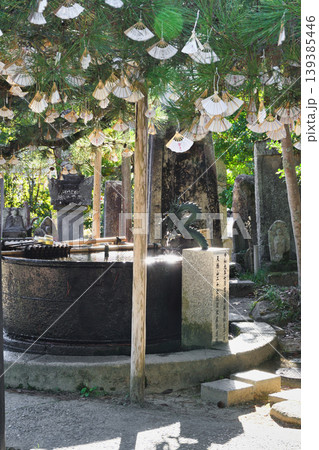 天橋立 智恩寺(京都府宮津市) 天橋立 智恩寺(京都府宮津市) 139385446
