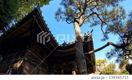 東京、荏原神社の拝殿と青空 品川区の名所 東京、荏原神社の拝殿と青空 品川区の名所 139385715