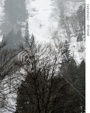 雪降る山 雪降る山 139385841