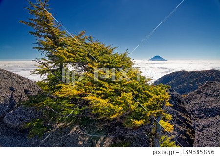 南アルプス・鳳凰三山・砂払岳から見る雲海と富士山 南アルプス・鳳凰三山・砂払岳から見る雲海と富士山 139385856