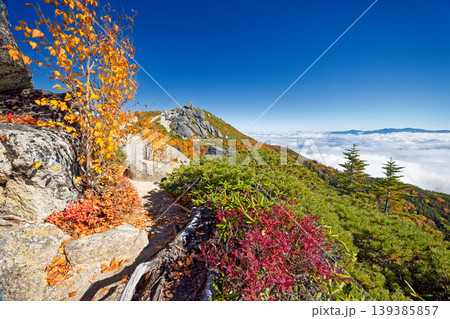 紅葉の南アルプス・鳳凰三山・砂払岳から見る薬師岳と雲上の奥秩父の山並み 紅葉の南アルプス・鳳凰三山・砂払岳から見る薬師岳と雲上の奥秩父の山並み 139385857