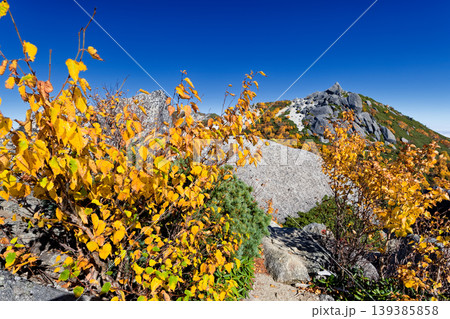 紅葉の南アルプス・鳳凰三山・砂払岳から見る薬師岳 139385858