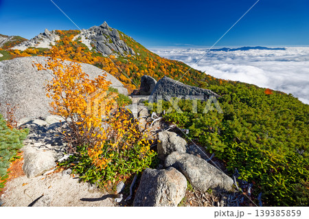 紅葉の南アルプス・鳳凰三山・砂払岳から見る薬師岳と雲上の奥秩父の山並み 紅葉の南アルプス・鳳凰三山・砂払岳から見る薬師岳と雲上の奥秩父の山並み 139385859