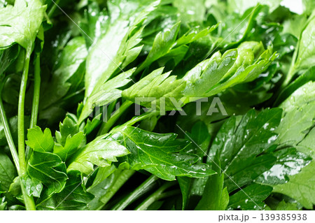 Fresh green parsley leaves with water drops background Fresh green parsley leaves with water drops background 139385938
