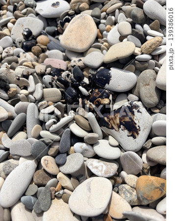 pebble beach polluted with black oil stains pebble beach polluted with black oil stains 139386016