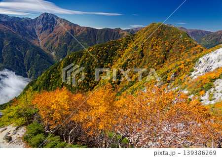 紅葉の南アルプス・赤抜沢ノ頭から見る高嶺と北岳 紅葉の南アルプス・赤抜沢ノ頭から見る高嶺と北岳 139386269