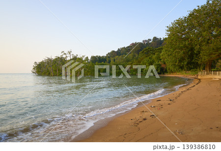 Tropical sandy beach with lush green forest coastline 139386810