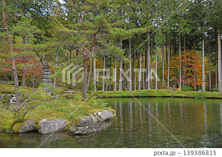 池畔に佇む多層塔と秋の森 杉木立と紅葉が水面に溶け込む静謐な庭園美 139386815