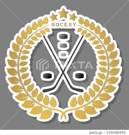 Collection accessory for sport game hockey Collection accessory for sport game hockey 139386956