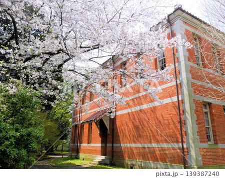 五高記念館と桜 (熊本大学黒髪キャンパス) 五高記念館と桜 (熊本大学黒髪キャンパス) 139387240