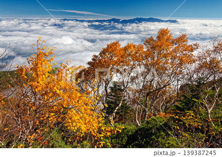 紅葉の南アルプス・鳳凰三山・薬師岳から見る雲海と奥秩父の山並み 139387245
