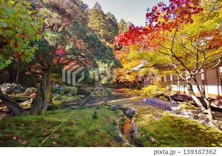 糸島市　雷山千如寺　室町時代作庭の心字庭園　 139387362