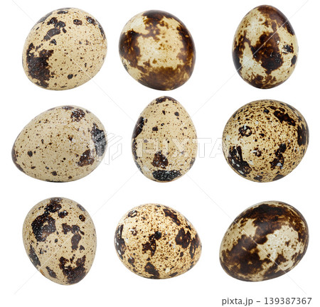 Quail eggs isolated on white background, spotted bird eggs collection Quail eggs isolated on white background, spotted bird eggs collection 139387367