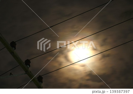 electric pole and cable with full moon on cloud in night electric pole and cable with full moon on cloud in night 139387397
