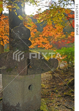 石灯籠が見守る秋の夕暮れ 鮮やかな紅葉のボケ味と柔らかな光が包む日本庭園の静寂 139387541
