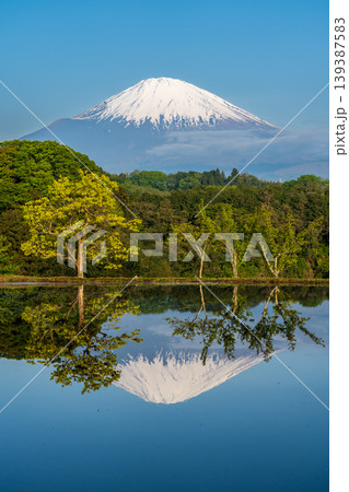 小山町竹之下の水田に映る富士山 小山町竹之下の水田に映る富士山 139387583