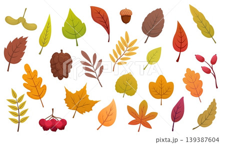 Cartoon autumn tree elements. Fall nature, leaf, acorn, pine cone, bunch of red berries. Foliage, falling leaves oak, maple, birch, sapid vector clipart Cartoon autumn tree elements. Fall nature, leaf, acorn, pine cone, bunch of red berries. Foliage, falling leaves oak, maple, birch, sapid vector clipart 139387604