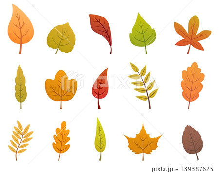 Cartoon fall leaves. Colorful leaf of maple, oak, birch. Different seasonal nature elements, autumn tree foliage. Isolated flat botanical sapid vector clipart Cartoon fall leaves. Colorful leaf of maple, oak, birch. Different seasonal nature elements, autumn tree foliage. Isolated flat botanical sapid vector clipart 139387625