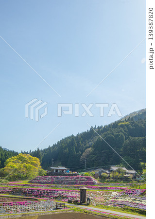 日本の原風景、棚田に広がる芝桜と青空 日本の原風景、棚田に広がる芝桜と青空 139387820