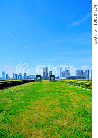 豊洲市場の屋上緑化広場から見える晴海方面の都市風景 豊洲市場の屋上緑化広場から見える晴海方面の都市風景 139387874