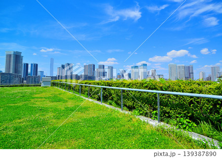 豊洲市場の屋上緑化広場から見える晴海方面の都市風景 139387890