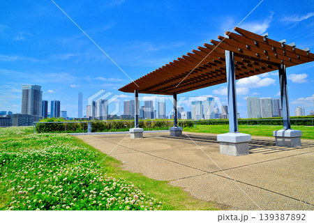 豊洲市場の屋上緑化広場から見える晴海方面の都市風景 139387892