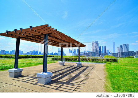 豊洲市場の屋上緑化広場から見える晴海方面の都市風景 豊洲市場の屋上緑化広場から見える晴海方面の都市風景 139387893