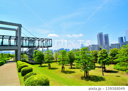 東京都中央卸売市場  豊洲市場 139388049