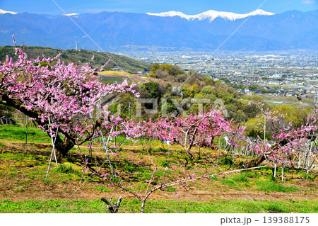 山梨県笛吹市御坂町より北岳方面を望む(山梨県笛吹市)【2026.4】 139388175