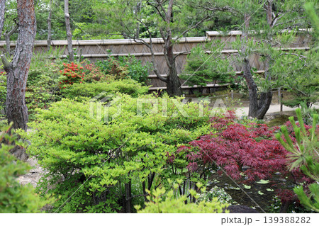 春の公園の庭園風景 春の公園の庭園風景 139388282