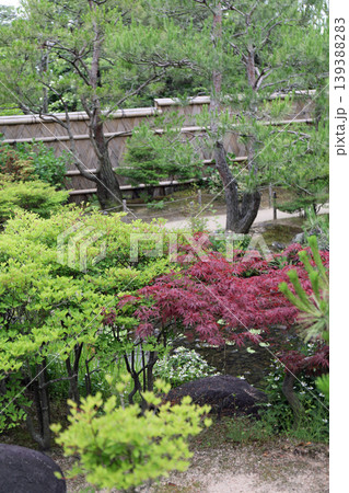 春の公園の庭園風景 春の公園の庭園風景 139388283