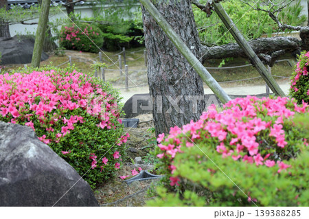 春の公園の庭園風景 春の公園の庭園風景 139388285