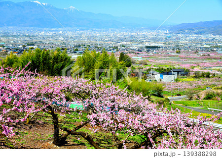 笛吹市より甲府市方面を望む(山梨県甲府市)【2026.4】 139388298