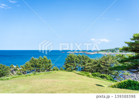 「青森県」新緑薫る初夏の種差海岸・八戸市 「青森県」新緑薫る初夏の種差海岸・八戸市 139388398